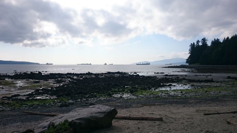 Pötte am Horizont 